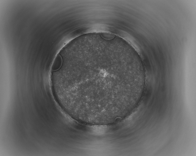 X0000111830893200908201148