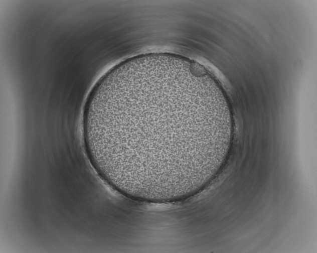 X0000111830894200908201148