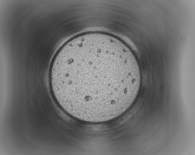 X0000111830895200908201148