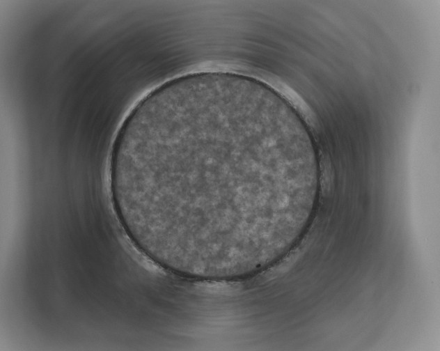 X0000111830896200908201148