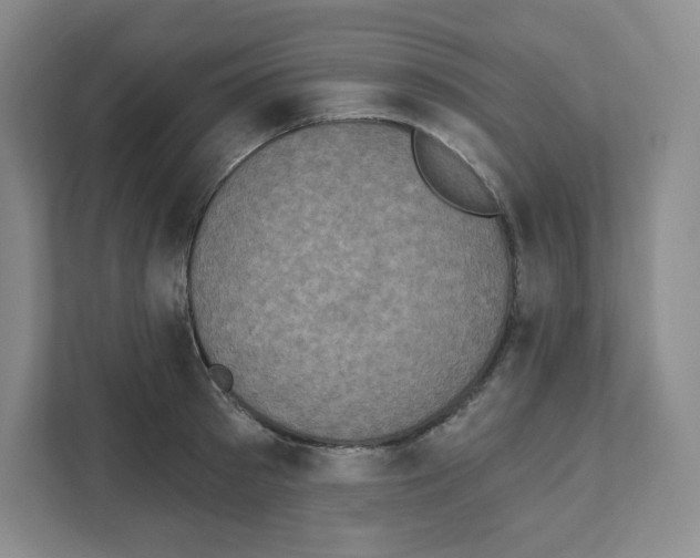 X0000111830897200908201148