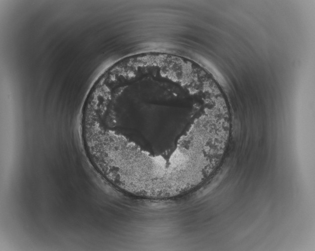 X0000111830899200908201148