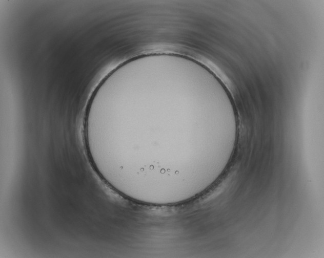 X0000111830901200908201148