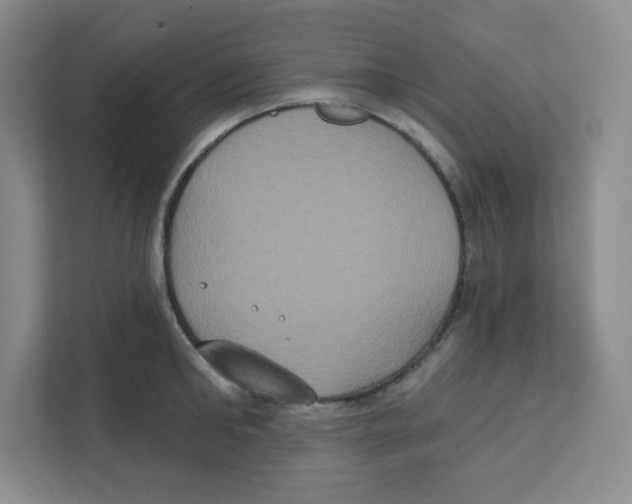 X0000111830902200908201148