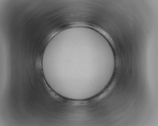 X0000111830905200908201148