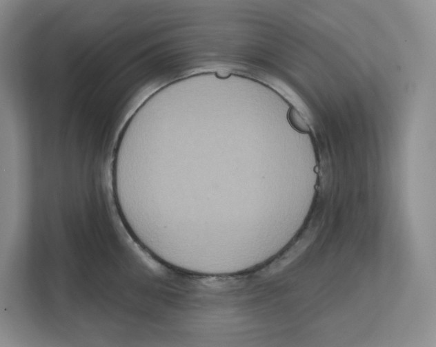 X0000111830906200908201148