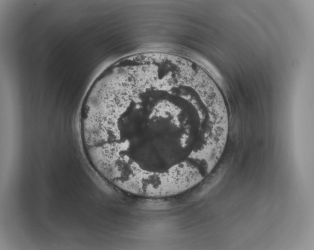 X0000111830907200908201148