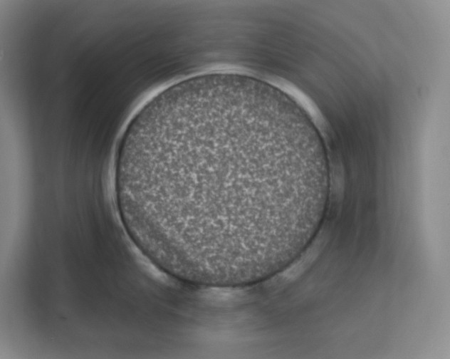 X0000111830910200908201148