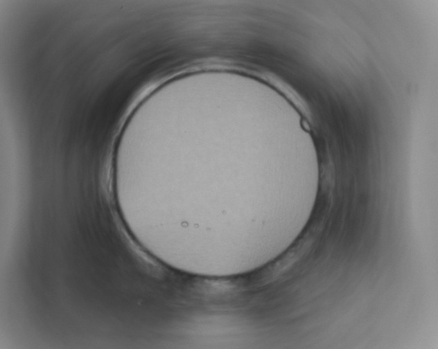 X0000111830911200908201148