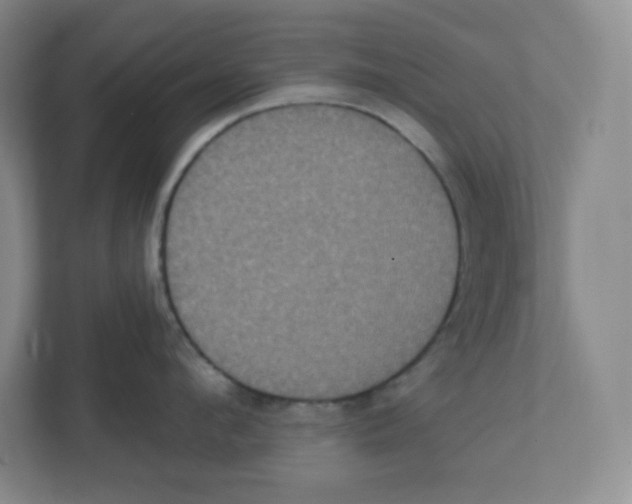 X0000111830912200908201148