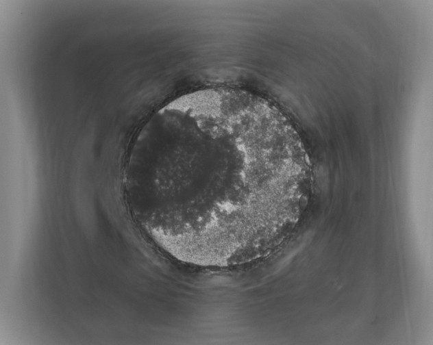 X0000111830913200908201148