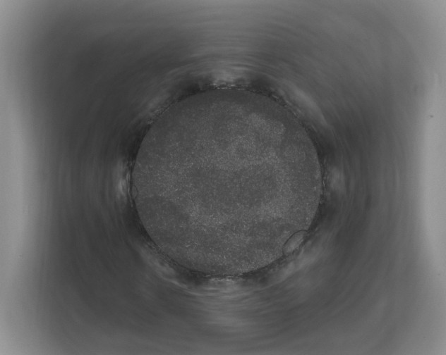 X0000111830914200908201148