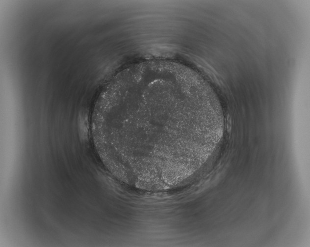 X0000111830915200908201148