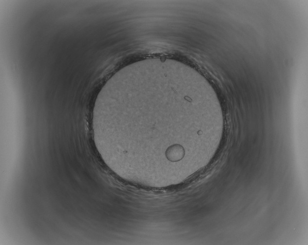 X0000111830916200908201148