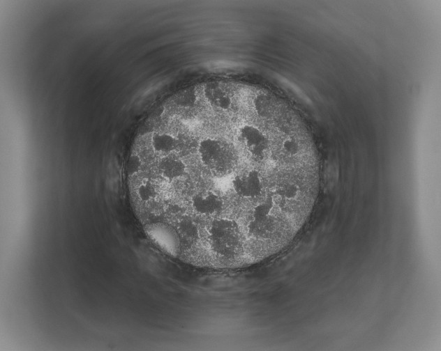 X0000111830917200908201148