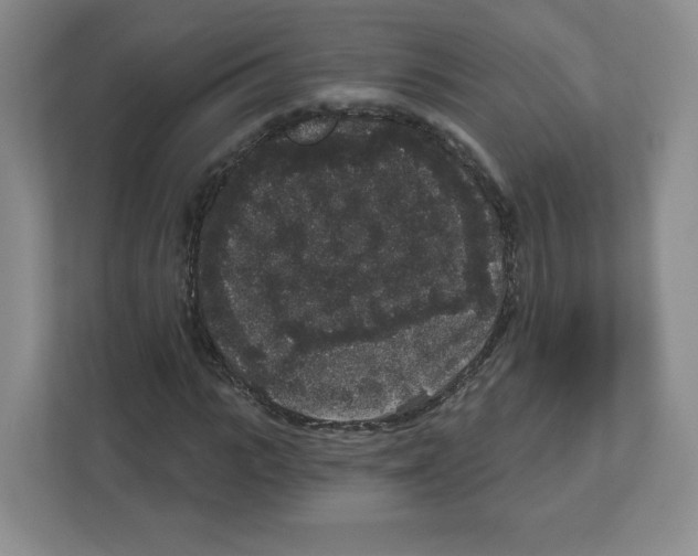 X0000111830919200908201148