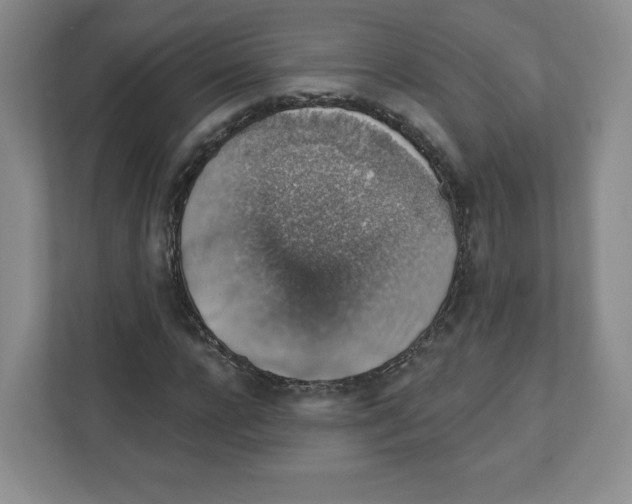 X0000111830920200908201148