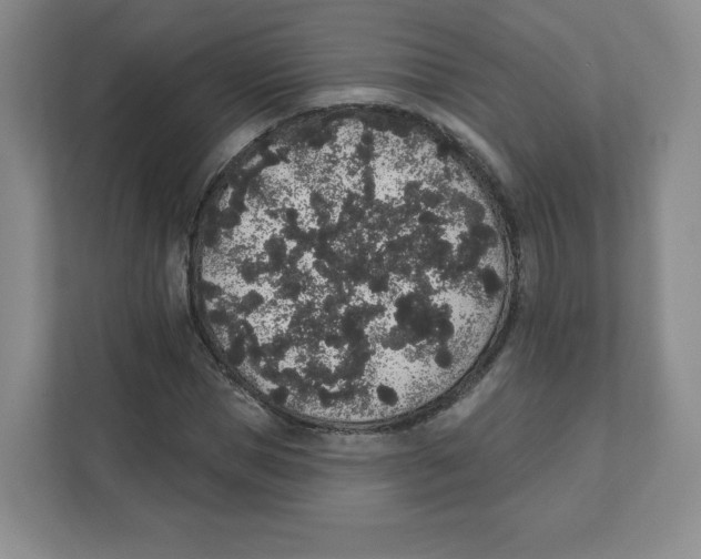 X0000111830921200908201148