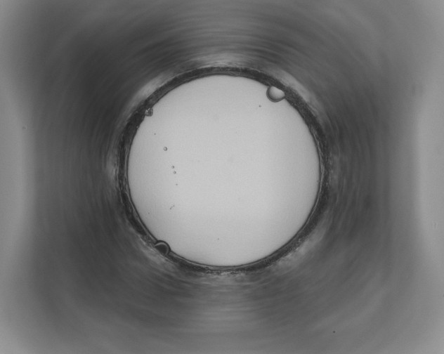 X0000111830922200908201148