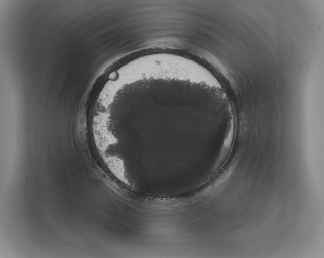 X0000111830923200908201148