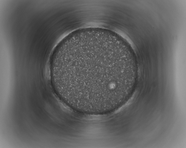 X0000111830925200908201148