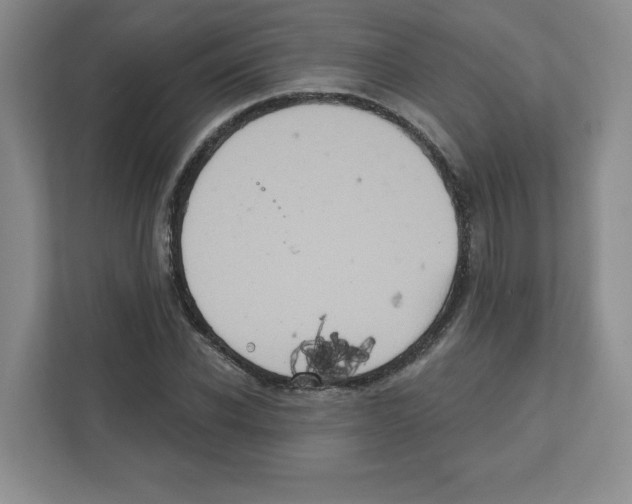 X0000111830926200908201148