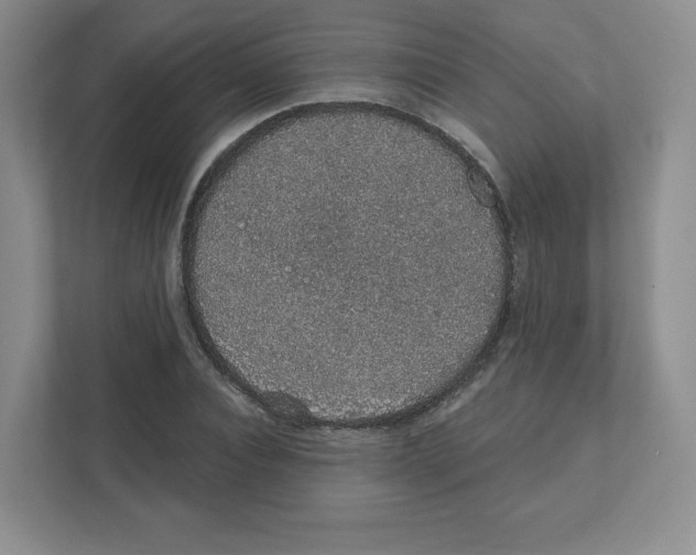 X0000111830928200908201148