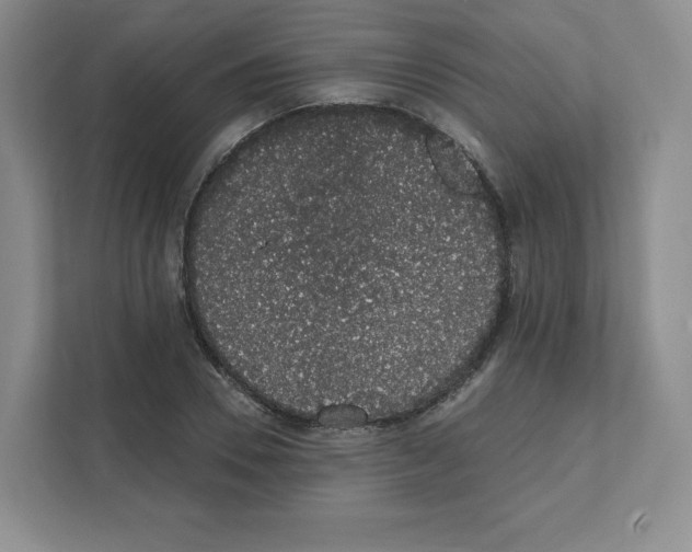 X0000111830930200908201148