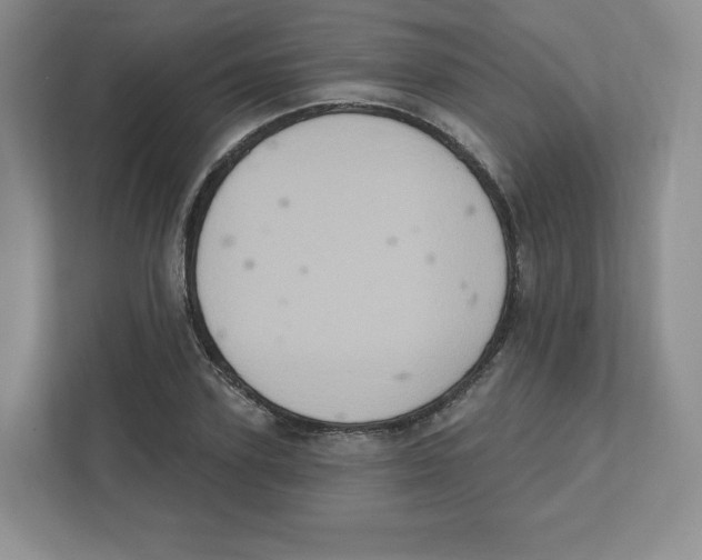 X0000111830931200908201148