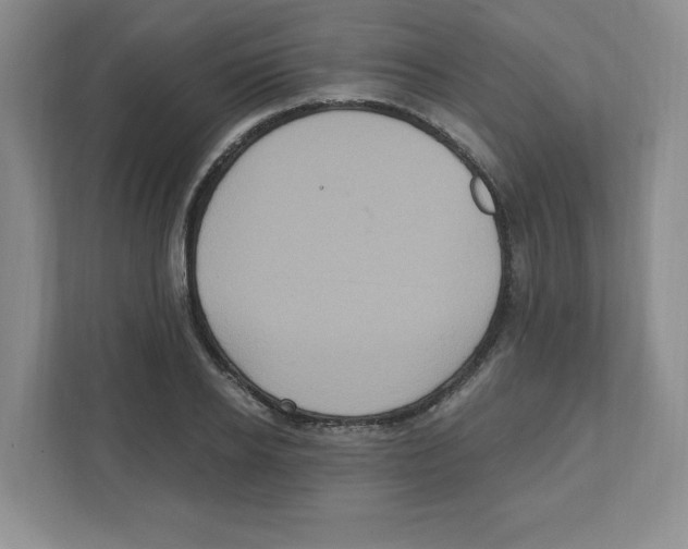 X0000111830934200908201148