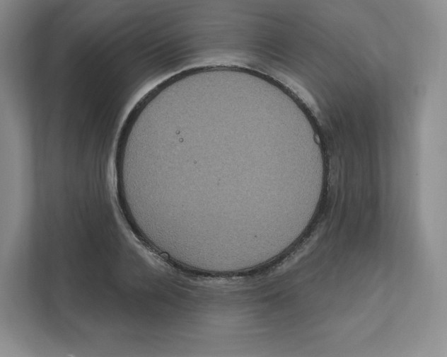 X0000111830936200908201148