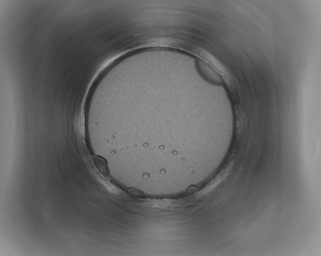 X0000111830940200908201148