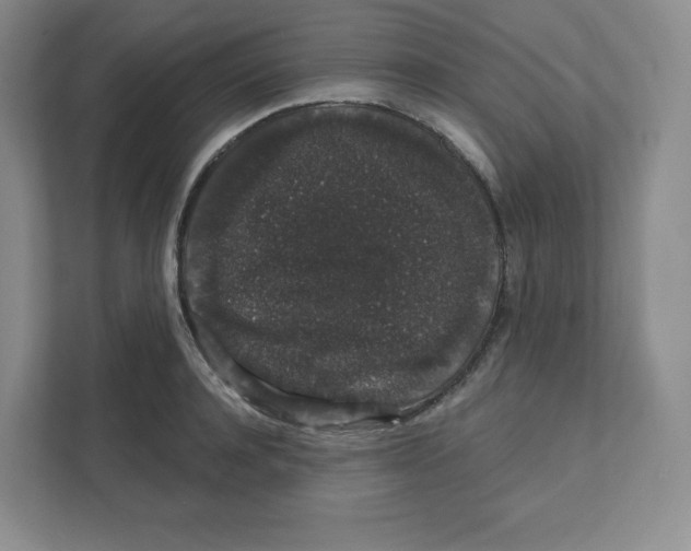 X0000111830944200908201148