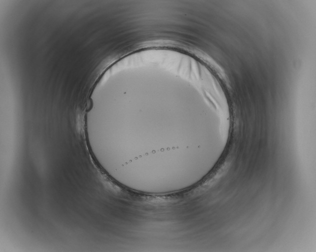 X0000111830945200908201148