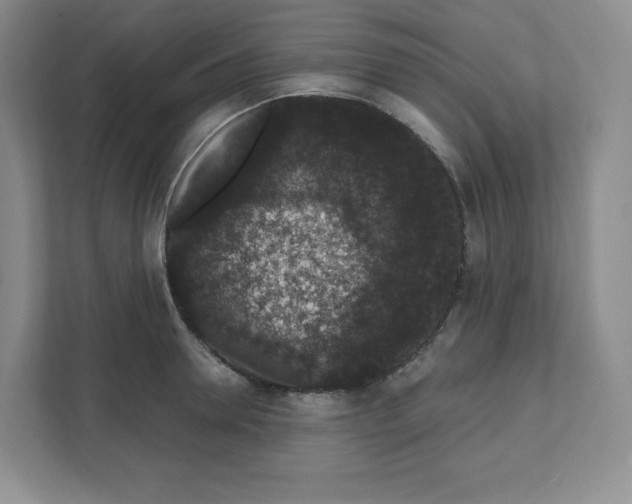 X0000111830946200908201148