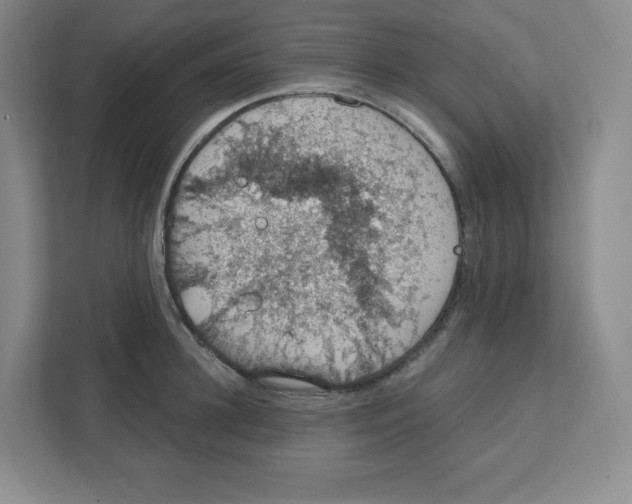 X0000111830948200908201148