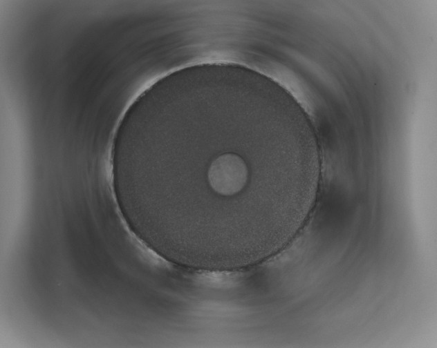 X0000111830950200908201148