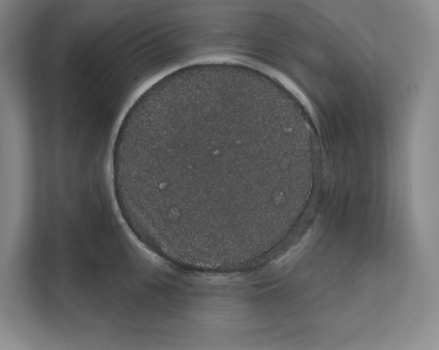 X0000111830951200908201148