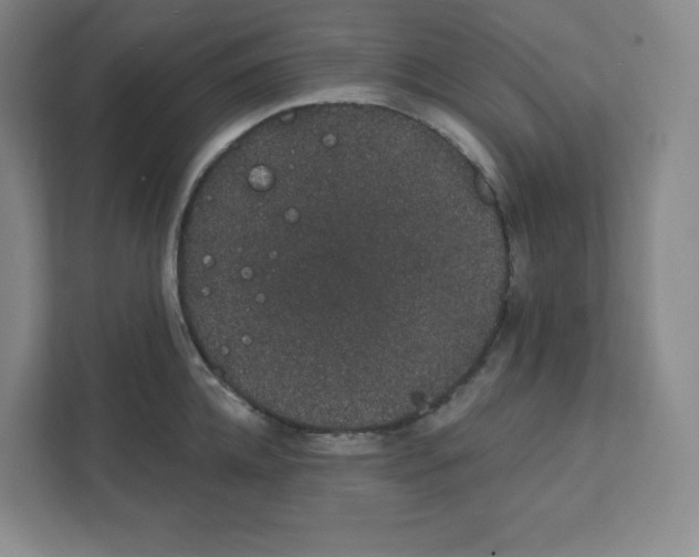 X0000111830952200908201148