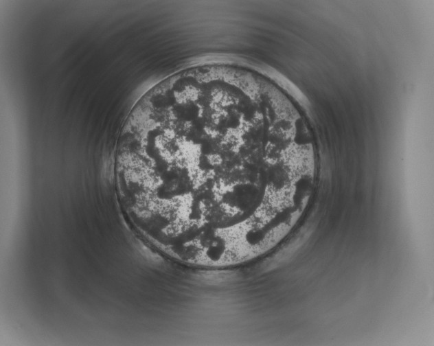 X0000111830953200908201148