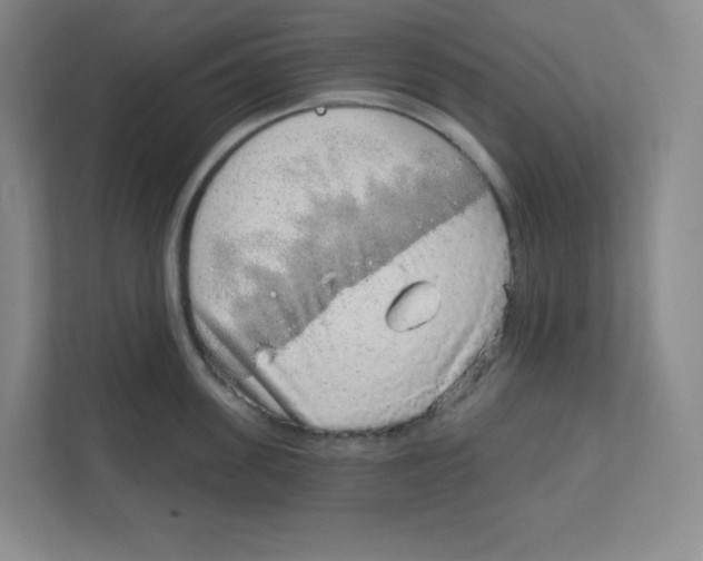 X0000111830955200908201148