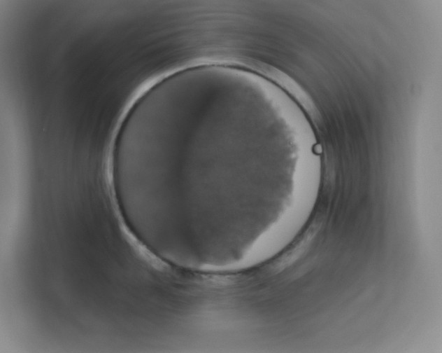 X0000111830958200908201148