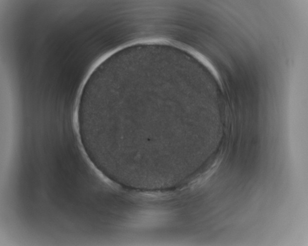 X0000111830959200908201148