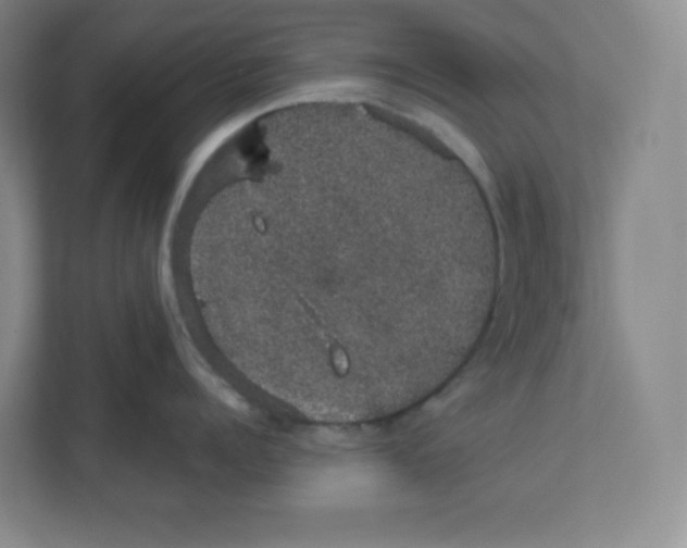 X0000111830960200908201148