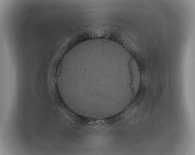 X0000111830961200908201148