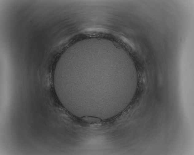 X0000111830965200908201147