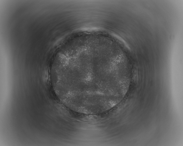 X0000111830966200908201147