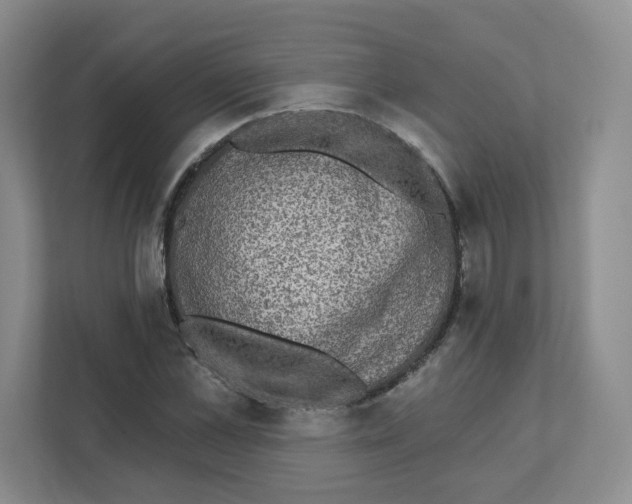 X0000111830973200908201147