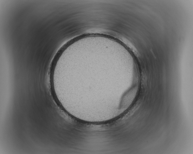 X0000111830976200908201147