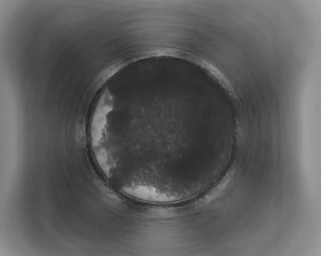 X0000111830977200908201147